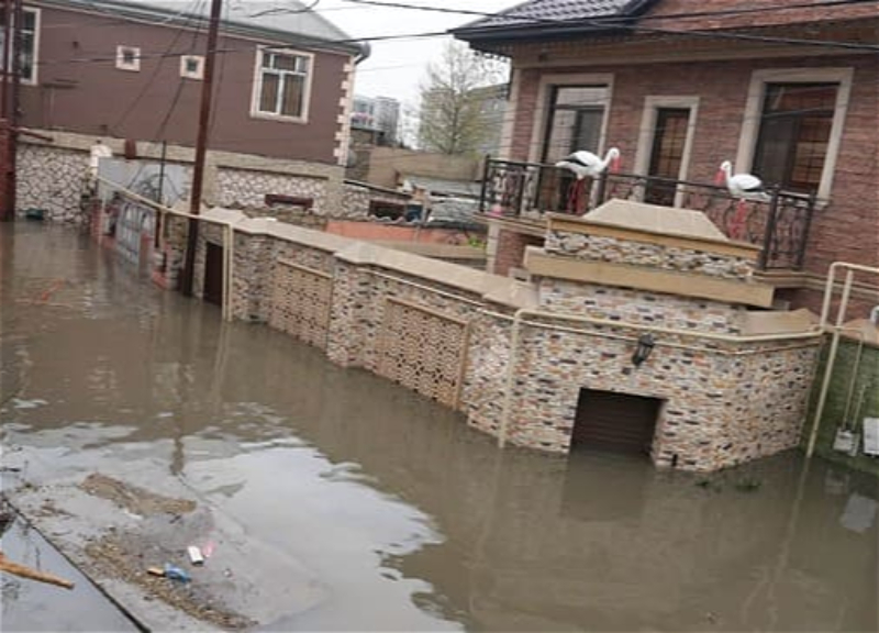 “Bu sərəncam və ayrılan vəsait vətəndaşların mənafelərinin qorunmasına xidmət edəcək” - ŞƏRH