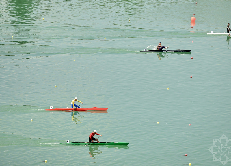 «Кубок Президента»: Азербайджанские гребцы завоевали 4 медали