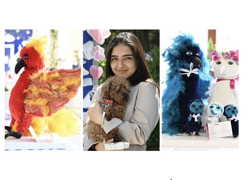 Young artist presents exhibition in support of homeless animals - photo