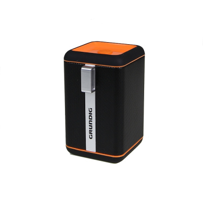  GRUNDIG BlueBeat GSB 110