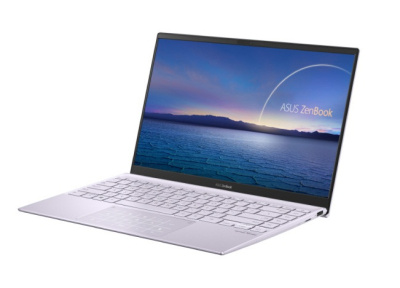 ASUS ZenBook 14 (UM425UA-AM298)