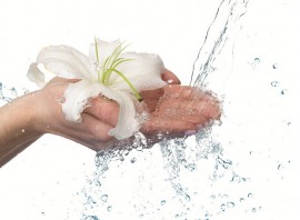 Refresh proqramı
